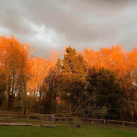 Hedgehog Lodge Colwall ภายนอก รูปภาพ