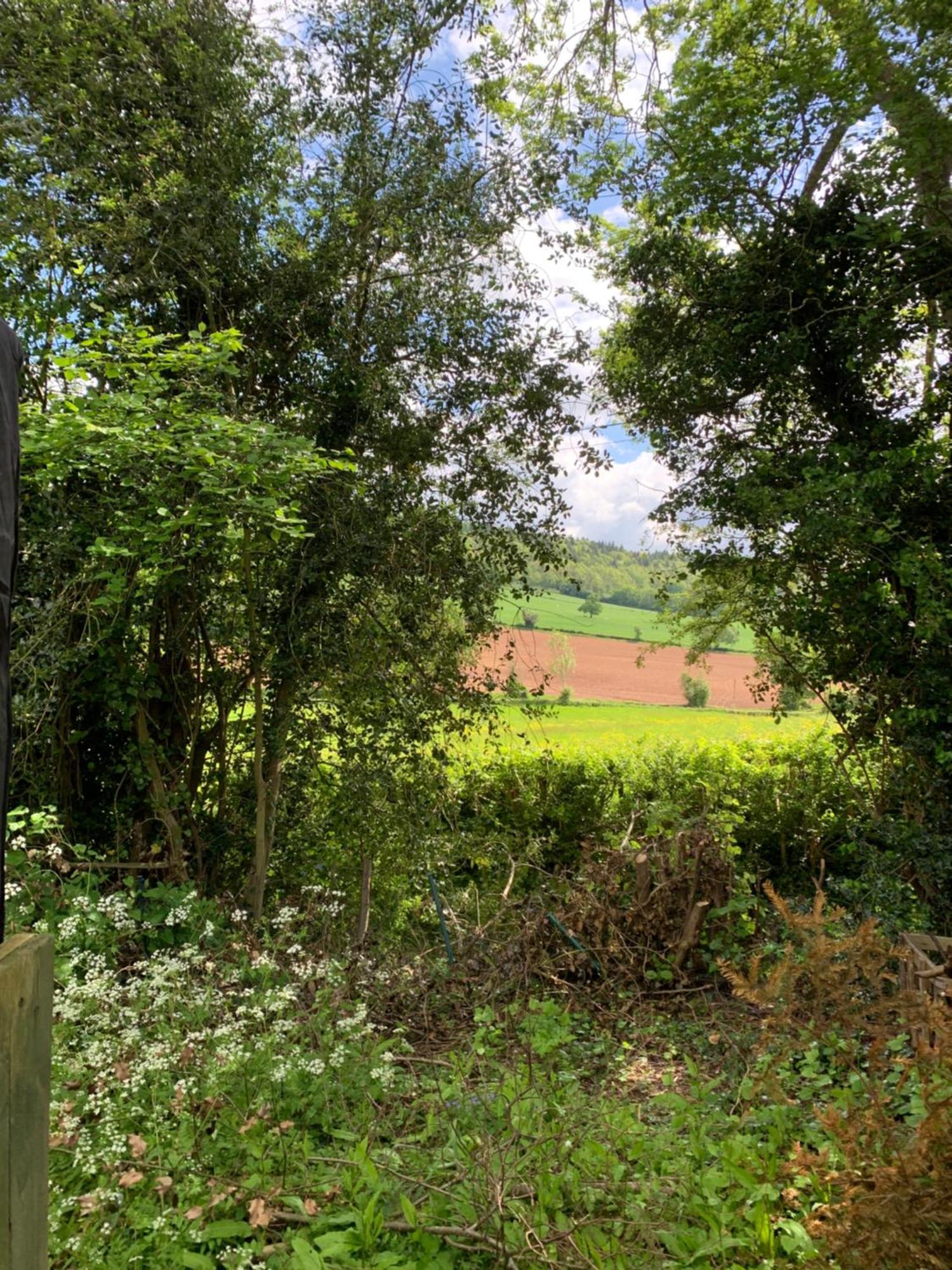 Hedgehog Lodge Colwall ภายนอก รูปภาพ