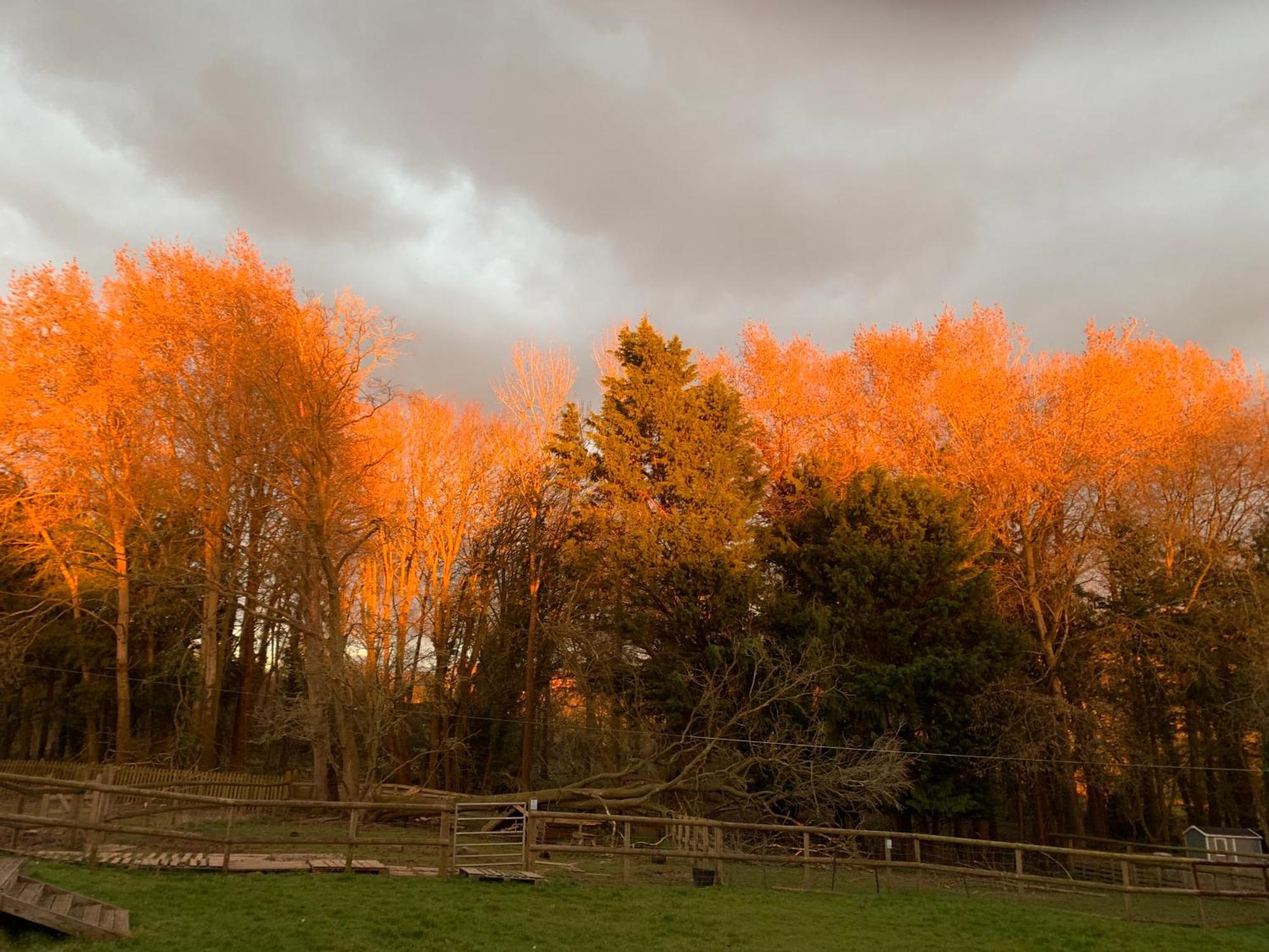 Hedgehog Lodge Colwall ภายนอก รูปภาพ