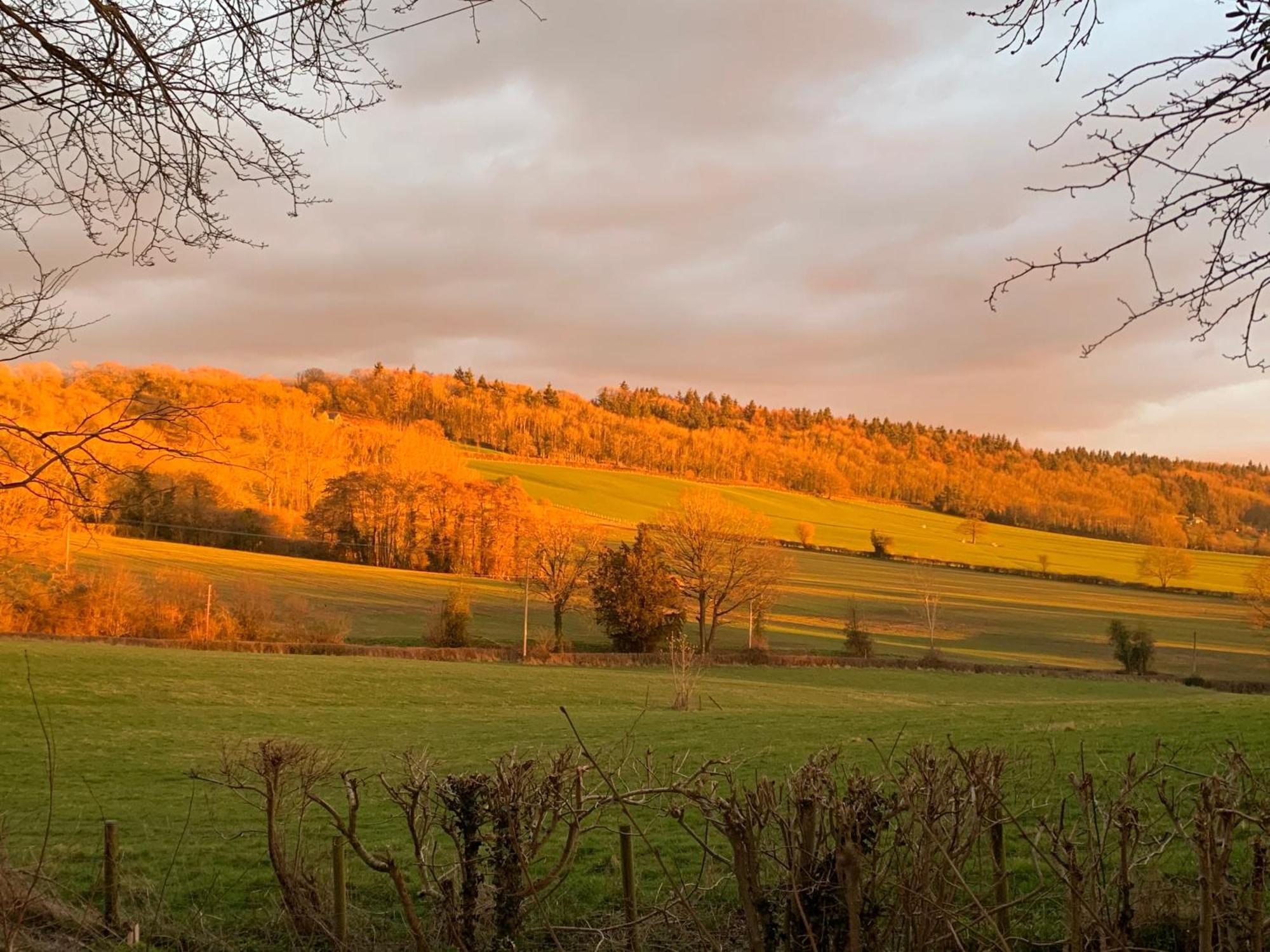 Hedgehog Lodge Colwall ภายนอก รูปภาพ